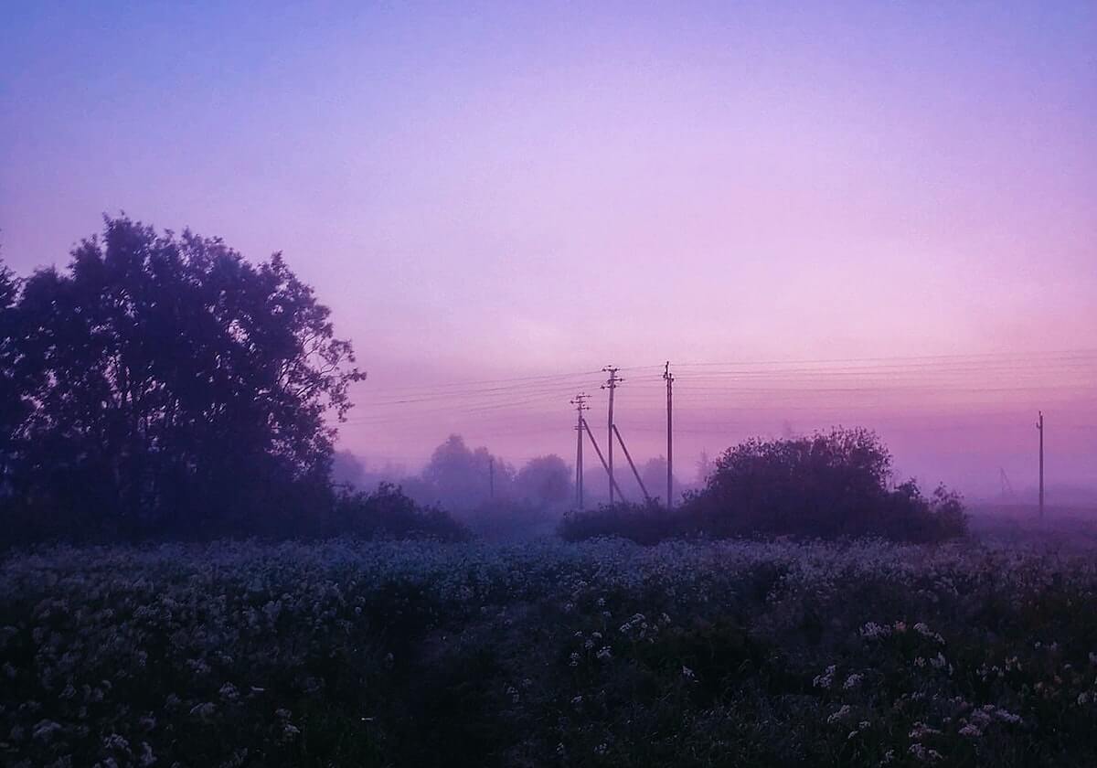九游：把游戏世界装进指尖的一站式体验